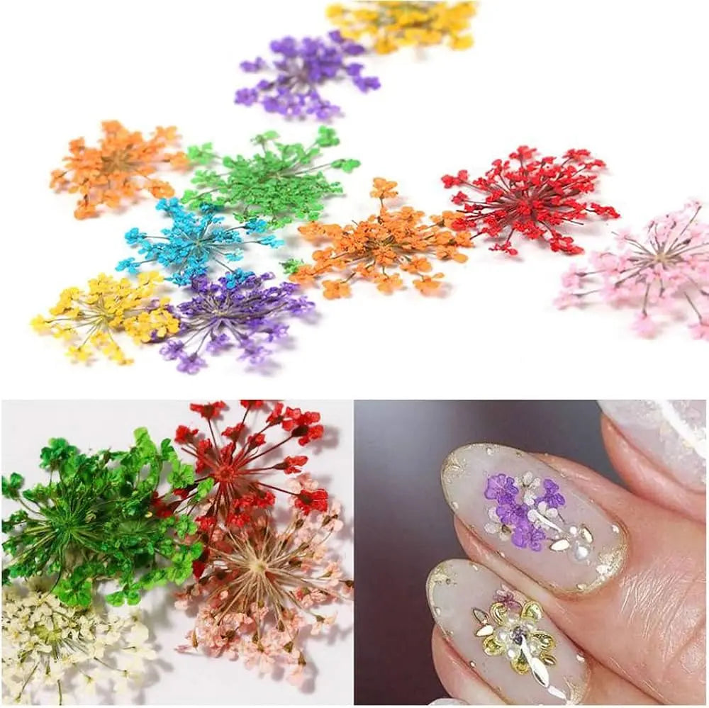 AU NAILS natural dried flowers for nail art – product view 5
