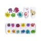 Dried Flower Decor - Set B